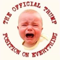 Raj👊Resists (@trumptroller007) 's Twitter Profile