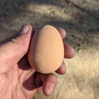 Ign_Jo's profile picture. egg profile, move on...