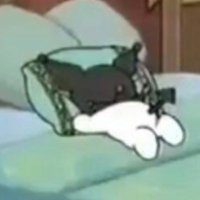 💞🖤💓🖤💕🖤💞🖤💓🖤💗 (@stupidsillyslut) 's Twitter Profile
