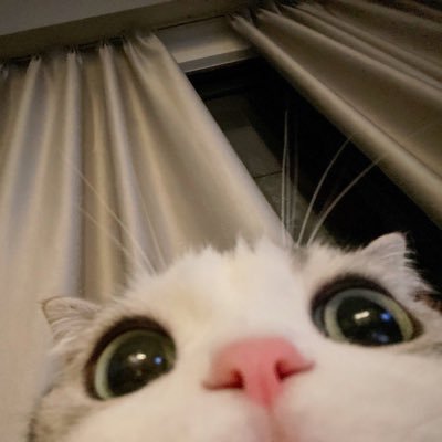 ppyhone's profile picture. 