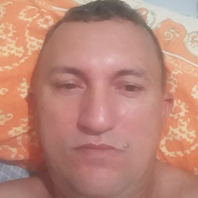 JosRodr09483551's profile picture. José Rodrigues