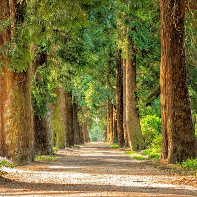 一度は行ってみたい世界の絶景や世界遺産の写真集です。リモートでも世界を味わえるようにツイートしていきます。RT・いいね・フォロー大歓迎です！！