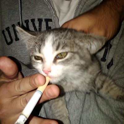 pugsvfx's profile picture. Editor 💻 • Keyboard and Mouse 👑 • | 14 | Grinding For @fazeclan | • Worked For @ClixHimself, @Swagg, and @actingliketommy | Discord | https://t.co/CVJLmgIX3D