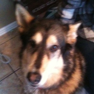 denitom's profile picture. 