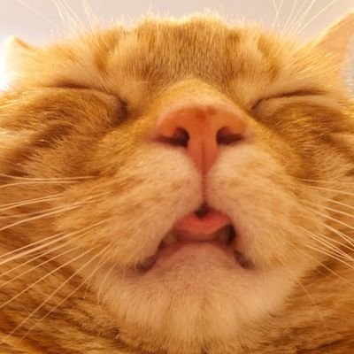 Latsさんのプロフィール画像