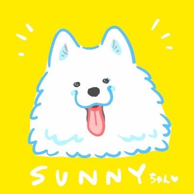 samoyedsunny Profile Picture