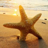 son (@son53593430) 's Twitter Profile