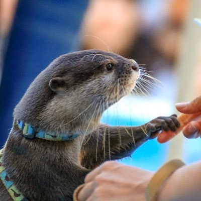 いちかさんのプロフィール画像