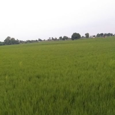 respect for indian farmer......I m here only for farmer support