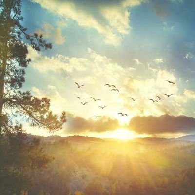 name_Jagadish's profile picture. 