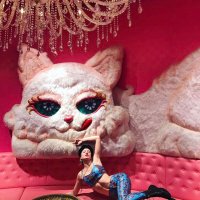 TheClutterCat (@thecluttercat) 's Twitter Profile Photo TheClutterCat (@thecluttercat) 's Twitter Profile Photo