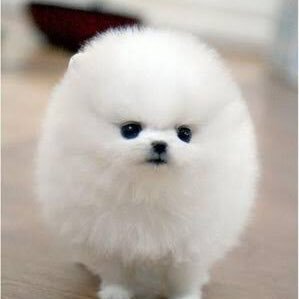 sGqBZPz6nGIkjPX's profile picture. 