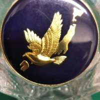 -20歳獣医・太田 明 (@hax78400) 's Twitter Profile