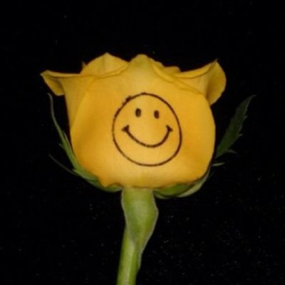 꽃윤(❁)⁾⁾さんのプロフィール画像