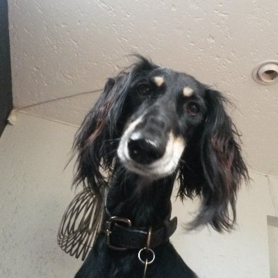 adriaancronje's profile picture. Software developer