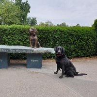 Ian Todd (@iant147) 's Twitter Profile Photo