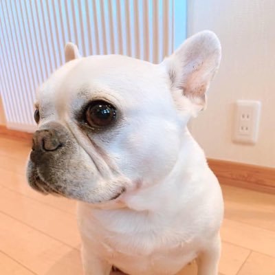 3XtGysSd1Rpc6Jl's profile picture. かてぃんラボ(2021年4月より)、HAYATO SUMINOファンクラブ(2021年8月より)、まだスマホ上手く使えません　皆さんのツイートやインスタの投稿を楽しんでいます　