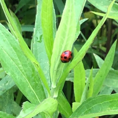 皆で楽しんで🍆🥦🥬🥕🫑🍅野菜作りをしたいという思いで…。 季節ごとにイベントしたり、野菜や果実を楽しみたいなぁ🫐🍊🥦🍅🥕🥬🫑