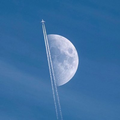 Dabarweh_lemn's profile picture. 