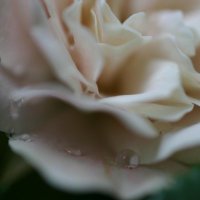 risa (@risarisa39) 's Twitter Profile Photo