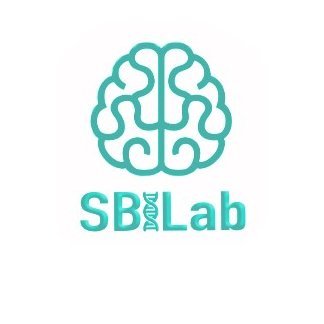 Signal Processing and Biomedical Imaging Lab (SBILab) at IIIT-Delhi, led by Prof. Anubha Gupta.