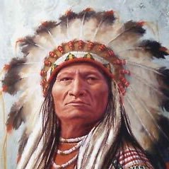 vivajohnyates's profile picture. I love my bro’s Caddy, Ryan & Fergal