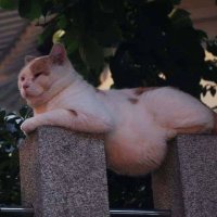 Moon (@enp_moon) 's Twitter Profile Photo Moon (@enp_moon) 's Twitter Profile Photo
