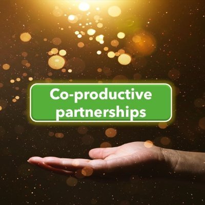 Co-productive Partnerships Network