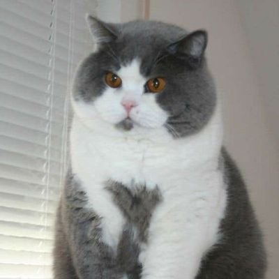 pablo51474's profile picture. Con mucho dulce de leche 🍮