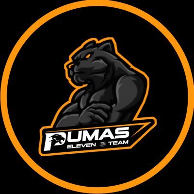 Esports organization 🇦🇷🇺🇾 | #P11 | FIFA & F1 | 2023 |