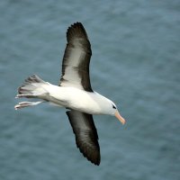 Patrick Earith (@arthriticpeak) 's Twitter Profile