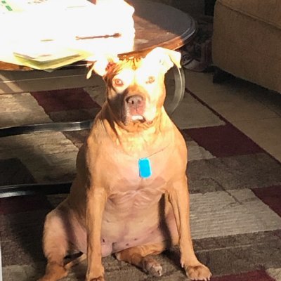 biz4sure's profile picture. Employed at Envestnet|Tamarac...TIME is MONEY...Get in Where you Fit In...#RavensFlock... enough said!!!