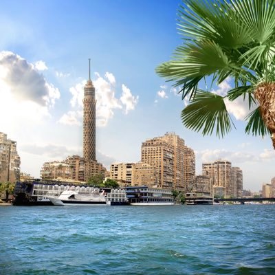 Amer10Nasr's profile picture. 