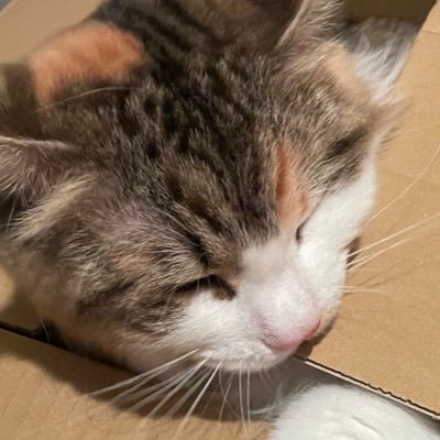 あやさんのプロフィール画像