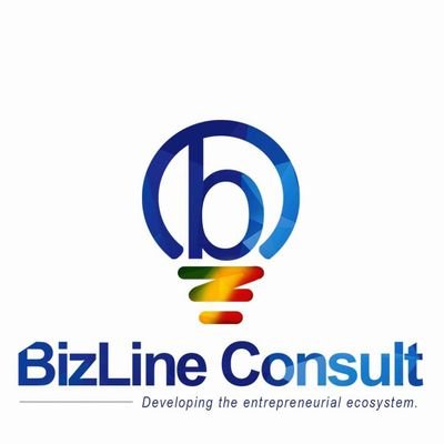 Consulting and Business Development Agency