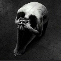 Pan/Tilt (@d_faback) 's Twitter Profile