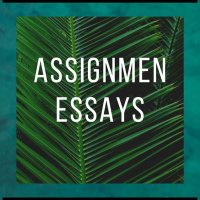 Moh. essay plug (@mohplug) 's Twitter Profile