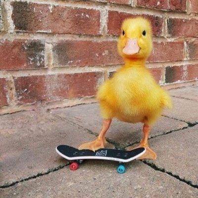 Trashgame9's profile picture. 3PJBoKmYNTQXkGKrc9J9s32DgVZbQy9FJ9W