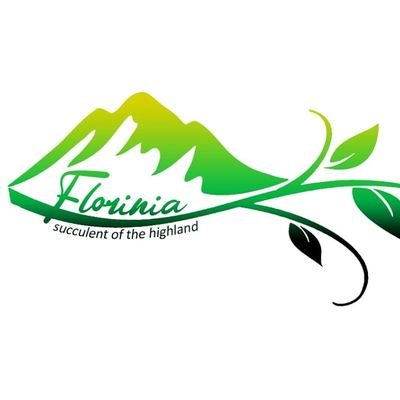 Florinia8's profile picture. Selling plant