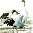 Susan MacNeil - @susaninorlando - Twitter