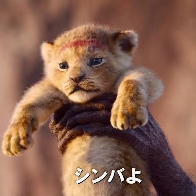 誰がシンバやねん、ハクナマタタ歌うぞ