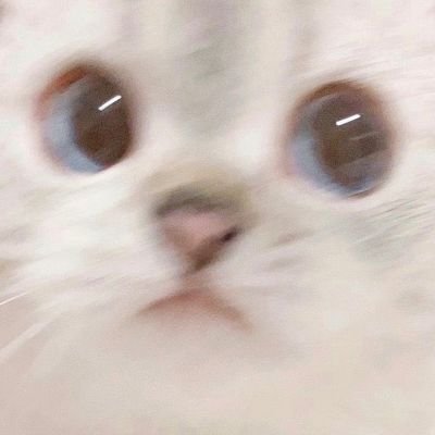 DevCastles's profile picture. S T A Y   H Y D R A T E D