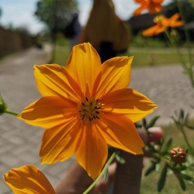 renaukhraenah's profile picture. Alhamdulillahirabbil'alamiin.