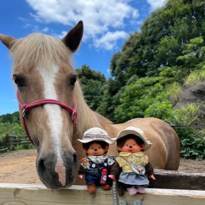 🐎動物大好き🍀ぬいぐるみ大好き。オーナーさま愛に溢れたぬいぐるみ・モンチッチ ・リカちゃん・ジェニー等のお写真を拝見して癒やされています。アニメ、絵本、ドラマ、昭和レトロ好き 朝美絢さま❄️、衣織ちゃん（イコラブ）推し✨無言イイネ・フォローします(*´-`*) 。 同趣味お友達随時募集中✨勧誘・営業❌即ブロック