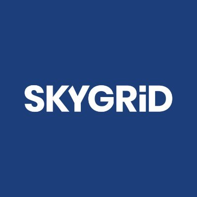 _SKYGRiD Profile Picture