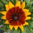 Stephen_E_Camp's profile image
