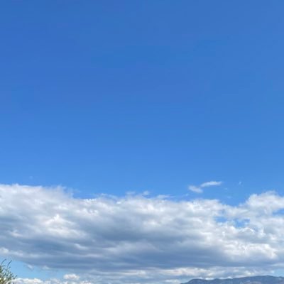 ううにさんのプロフィール画像