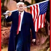 MsFedUp (@msfedup5) 's Twitter Profile