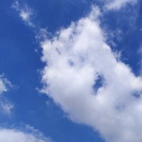 Your Name (@ynov_) 's Twitter Profile