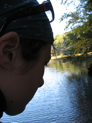 StephSchellin's profile picture. Senior Accessibility Engineer  |  Digital Accessibility Consultant  |  Beagle Fanatic